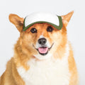 DIY PupLid Trucker Hats (Green/White Medium) – Customizable Dog Hat Blank Canvas for Personalized Design Adjustable Premium Stylish Sun Protection