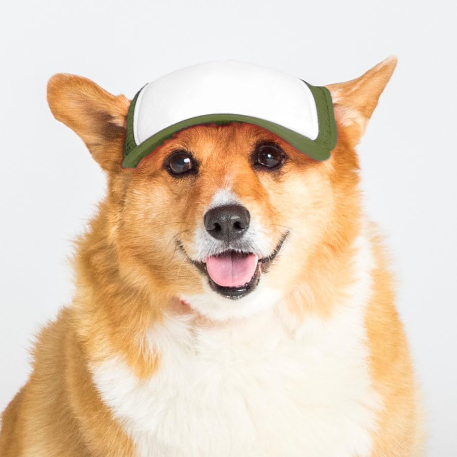 DIY PupLid Trucker Hats (Green/White Medium) – Customizable Dog Hat Blank Canvas for Personalized Design Adjustable Premium Stylish Sun Protection